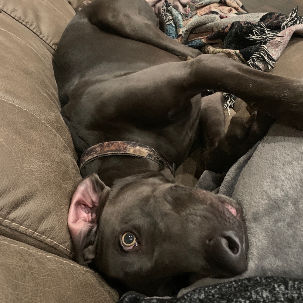 Meet your Posher, Destdestiny